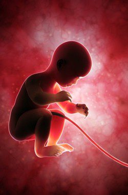 Feto de nueve meses
