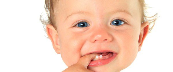 Dientes de leche