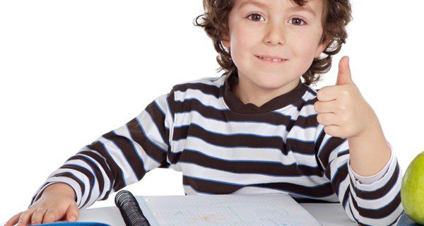 El pequeño escribirá todos sus comportamientos y sus consecuencias