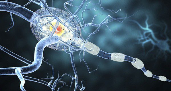 Se trata de un trastorno neurológico por un aumento brusco de la actividad neuronal en uno o varios puntos del cerebro