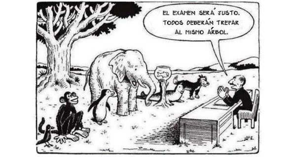 Esta viñeta explica por qué muchos alumnos se sienten frustrados en os estudios