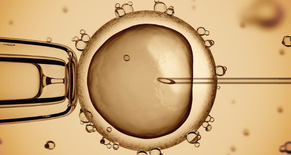 La fecundación in vitro es una de las opciones más utilizadas