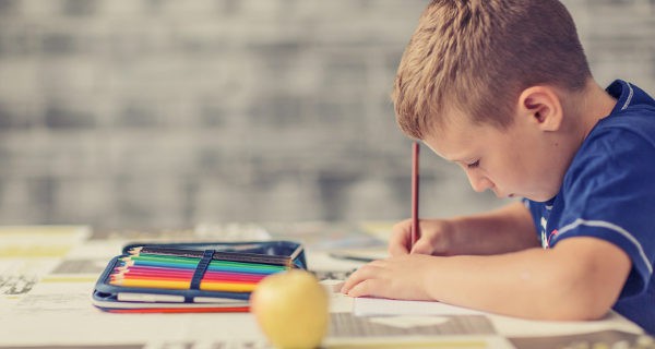 Los cuadernos de actividades están nivelados por cursos y edades