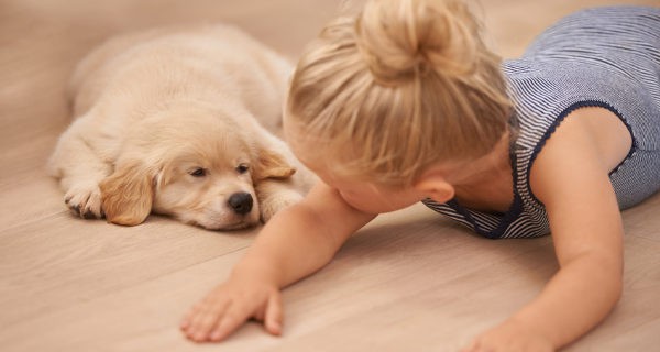 Los niños que se crian con animales tienen menos probabilidades de sufrir alergias y asma posteriormente