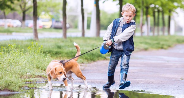Si educamos bien a los niños, el tener animales les enseñará a ser responsables
