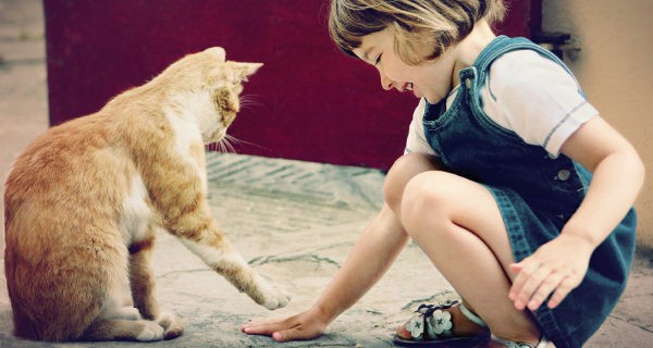 Una mascota puede ser un excelente compañero de aprendizajes