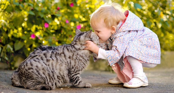 Es bueno que los niños aprendan desde pequeños a tratar con animales