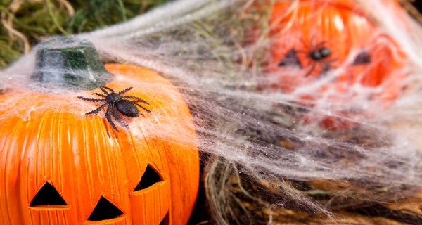 Telarañas de halloween
