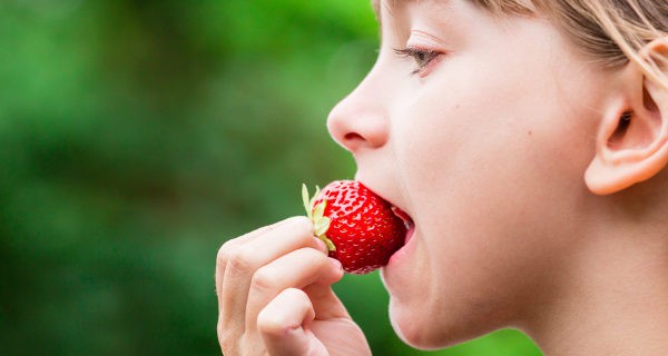Niña comiendo una fresa