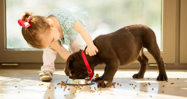 Niña y perro
