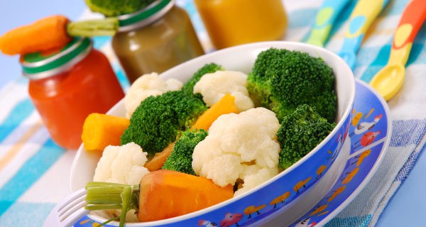papilla de verduras
