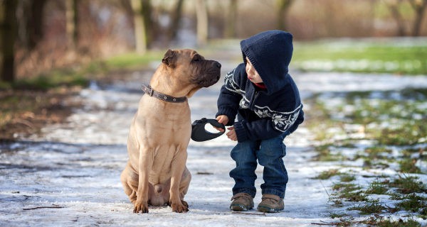 niño con un perro
