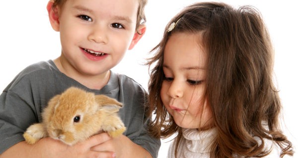 niños con un conejo de mascota