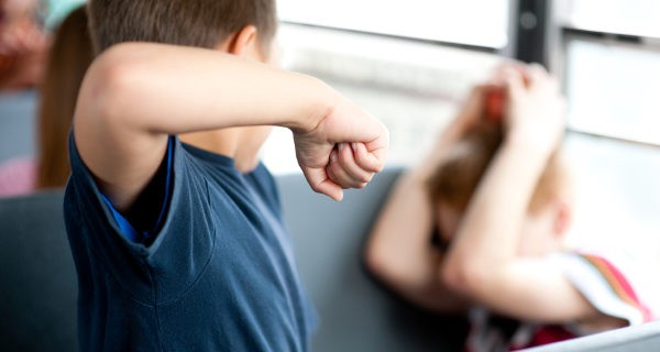 niño haciendo bullying