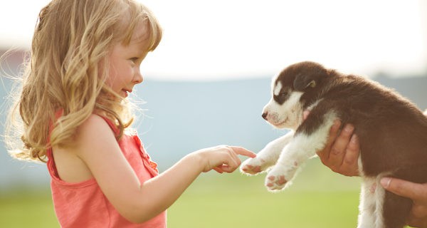 niña con un perro