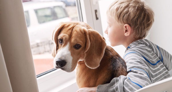 niño y su perro