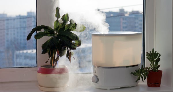 Un humidificador puede ayudar a calmar la sequedad en la garganta