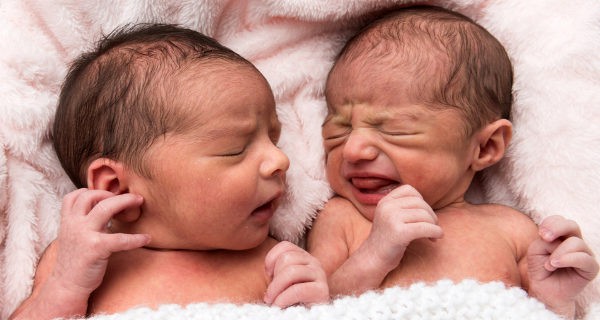 bebes gemelos
