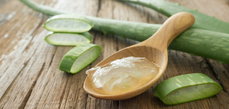 Podemos aplicar aceites naturales, como el gel de aloe vera