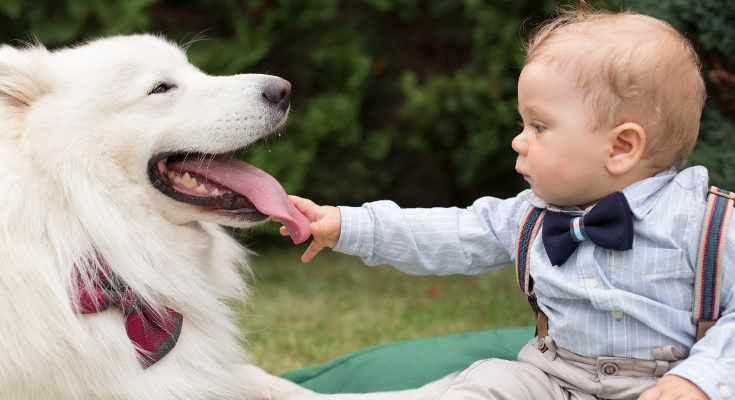 Desde pequeños lo sniños aprenden a cuidar de su mascota