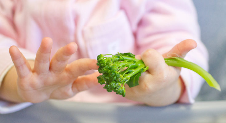 Con el Baby Led Eaning el bebé aprende a conocer las texturas y sabores de la comida