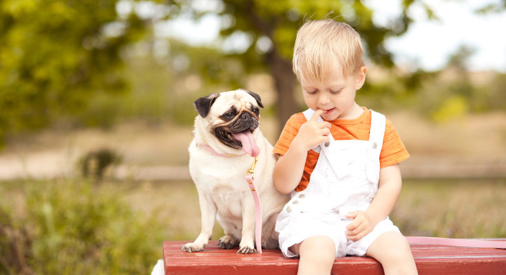 Crecer con perros en el hogar puede prevenir alergias y algunas afecciones respiratorios
