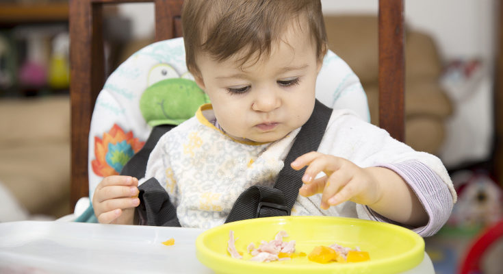 Las frutas, las verduras y la carne son alimentos que pueden empezar a comer con el baby-Led Weaning