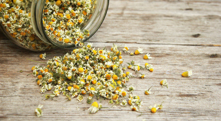 Las flores de manzanilla que nos sobren también nos sirven para hacernos una infusión