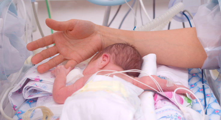 Los tentáculos recuerdan al bebé al cordón umbilical y se relaja