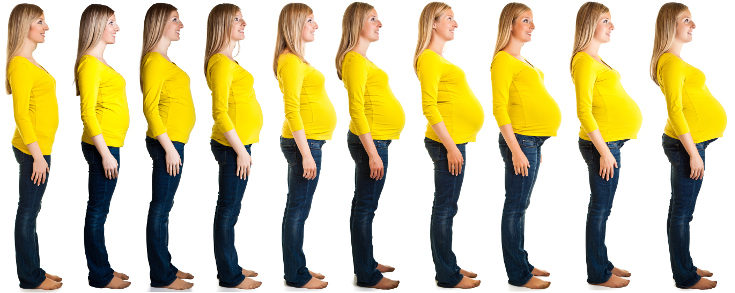 Hasta, al menos, el tercer mes no notaremos cambios en la barriga