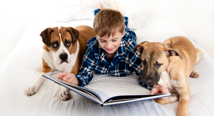 Leer un cuento o libro de noche les ayudará a dormir