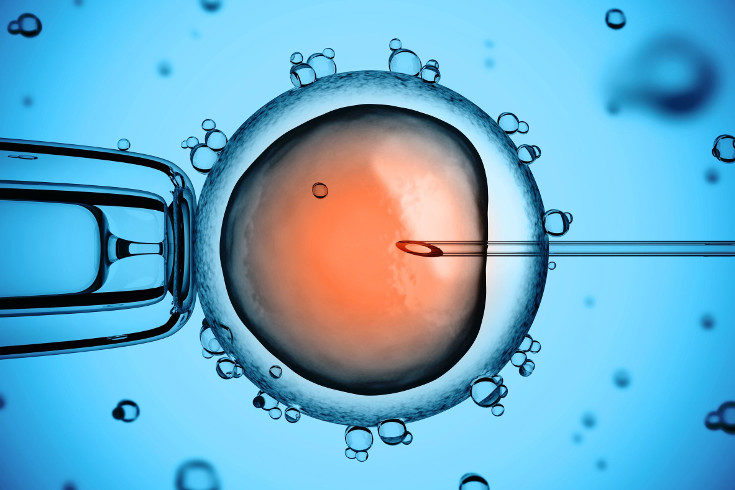 La edad de la mujer o el grosor del endometrio influyen a la hora de que funcione la inseminación artificial