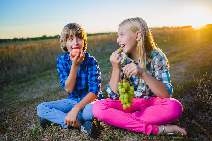 Las frutas de temporada son más sanas porque se dan en su época natural