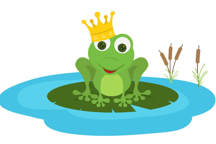 Las ranas que se convierten en príncipes no sólo besan chicas