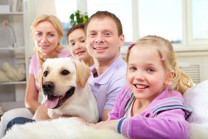 En nuestra sociedad son muchas personas alérgicas a gatos y perros