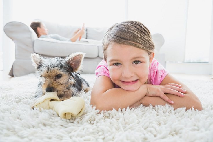 El tiempo libre es imprescindible para poder tener una nueva mascota en el hogar