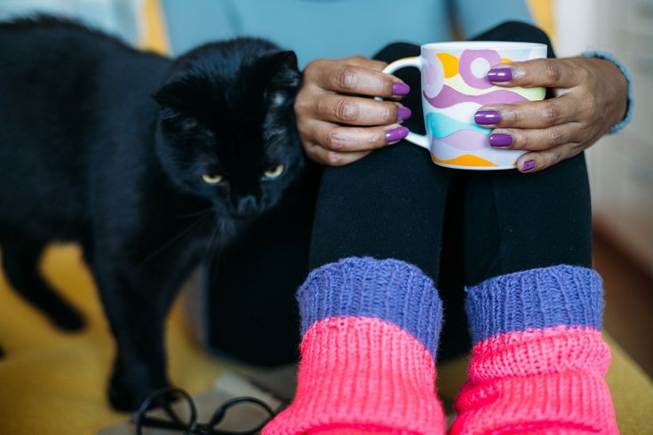 Los gatos son seres vivos que tienen unas necesidades físicas y emocionales que se deben cuidar. 