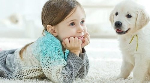 Consejos familiares para cuidar a la mascota durante el COVID-19