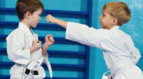 Actividades extraescolares: judo, kárate y taekwondo