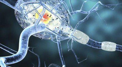 Tipos de epilepsia