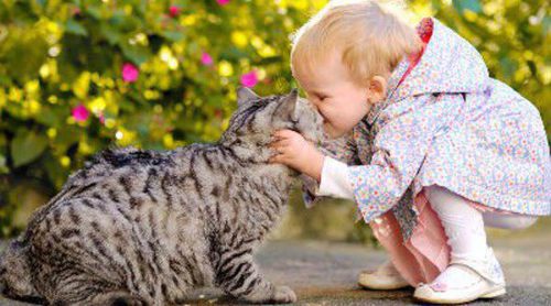 Cómo inculcar en los niños el respeto por los animales