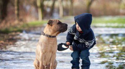Las mascotas ideales para tener con niños en casa