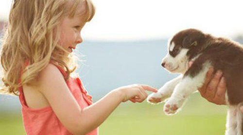 8 cosas que no sabías de los niños autistas