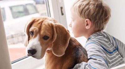 Cómo ayudar a un niño a afrontar la muerte de su mascota