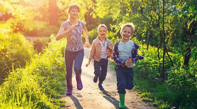 Qué hacer ante las picaduras de avispa en niños