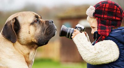 Ventajas de adoptar un perro grande si tenemos niños pequeños