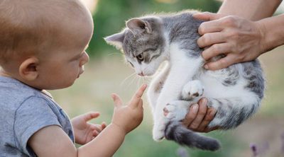 7 consejos para que tu bebé y tu gato convivan y sean grandes amigos