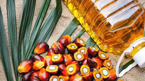 El aceite de palma en la alimentación de los niños, ¿qué efectos tiene?