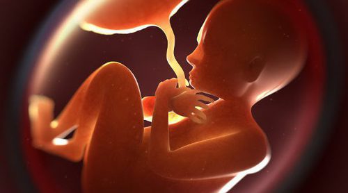 ¿Qué es tener placenta previa en el embarazo?