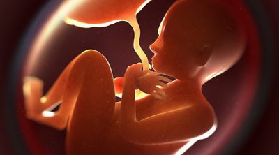 ¿Qué es tener placenta previa en el embarazo?